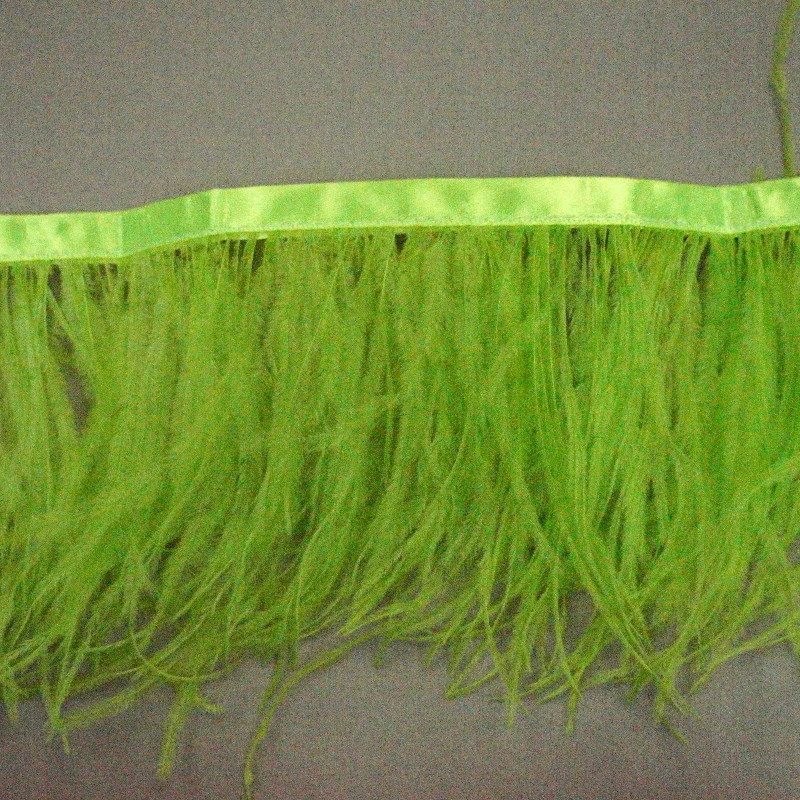 Apple Green Ostrich Feather Trim 2 PLY Long unclassified dresses